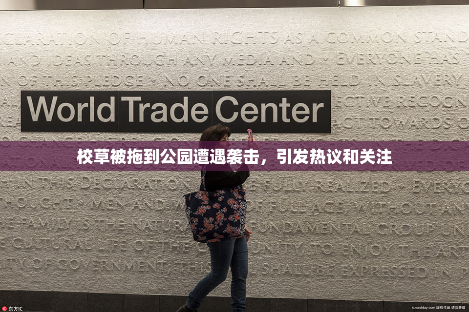 校草被拖到公园遭遇袭击，引发热议和关注