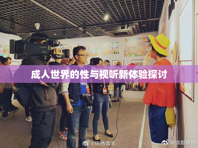 成人世界的性与视听新体验探讨