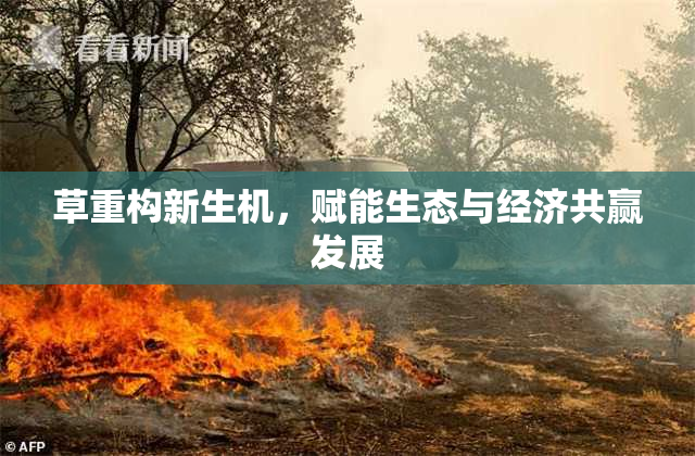 草重构新生机，赋能生态与经济共赢发展