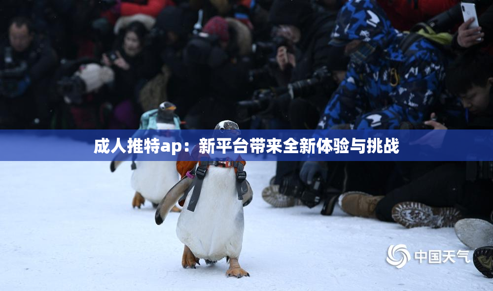 成人推特ap：新平台带来全新体验与挑战