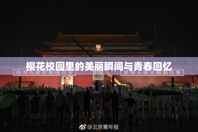 樱花校园里的美丽瞬间与青春回忆