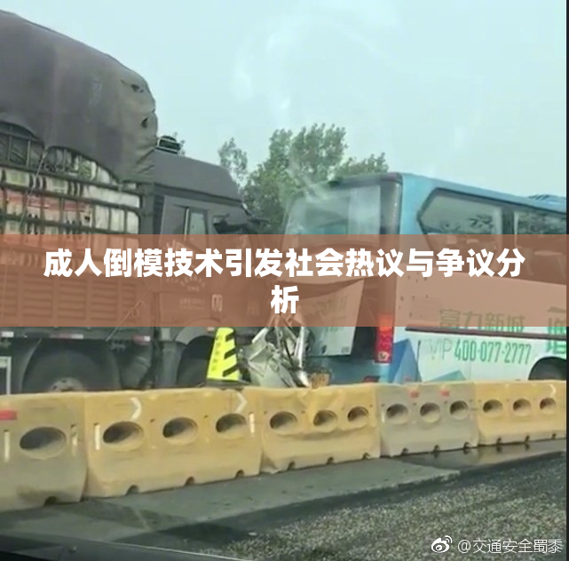 成人倒模技术引发社会热议与争议分析