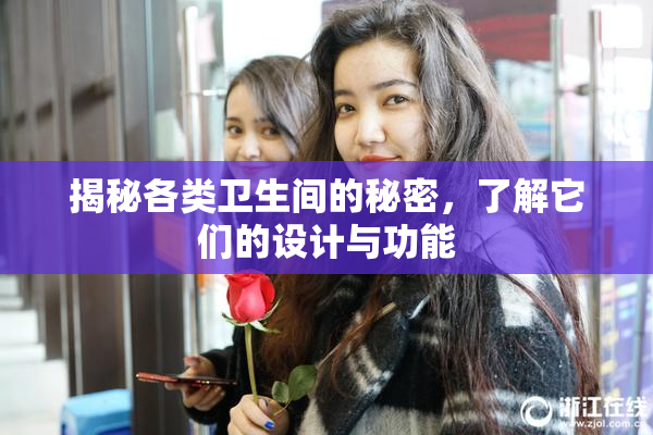 揭秘各类卫生间的秘密，了解它们的设计与功能
