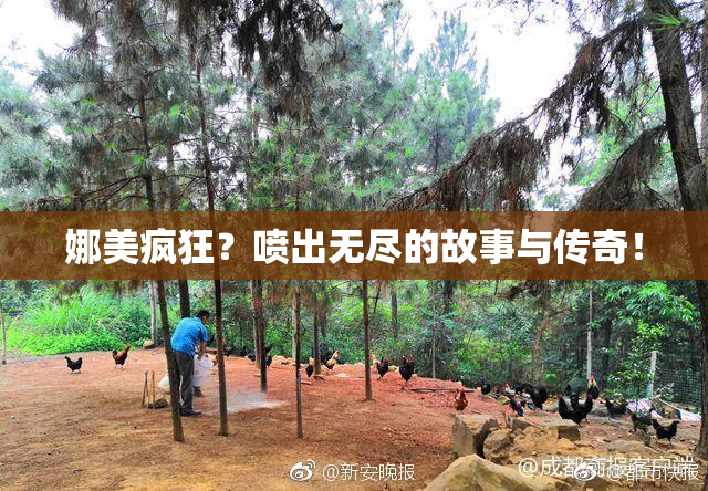 娜美疯狂？喷出无尽的故事与传奇！