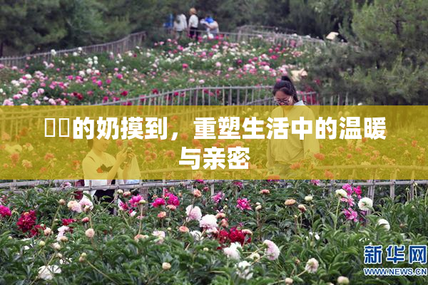 妺妺的奶摸到，重塑生活中的温暖与亲密