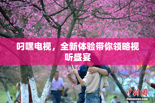 叼嘿电视，全新体验带你领略视听盛宴