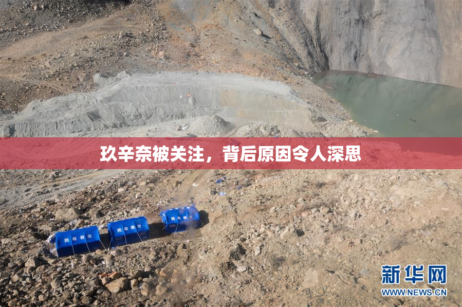 玖辛奈被关注，背后原因令人深思