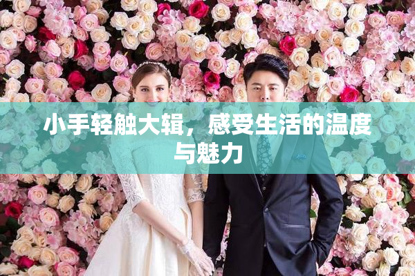 小手轻触大辑，感受生活的温度与魅力