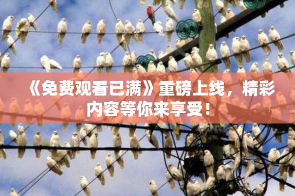 《免费观看已满》重磅上线，精彩内容等你来享受！