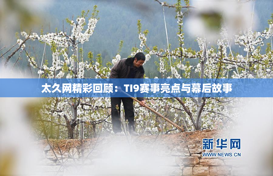 太久网精彩回顾：TI9赛事亮点与幕后故事