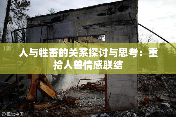 人与牲畜的关系探讨与思考：重拾人兽情感联结