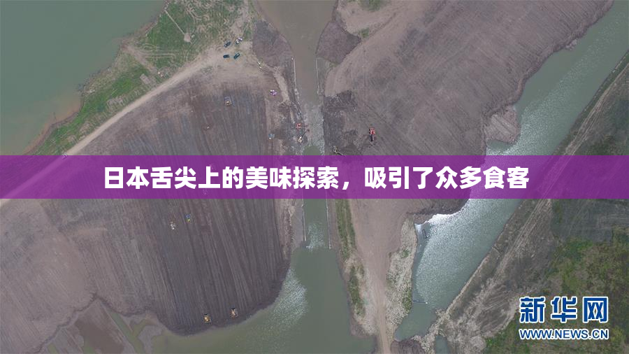 日本舌尖上的美味探索，吸引了众多食客
