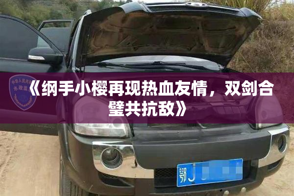 《纲手小樱再现热血友情，双剑合璧共抗敌》