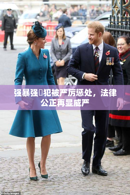 强暴强姦犯被严厉惩处，法律公正再显威严