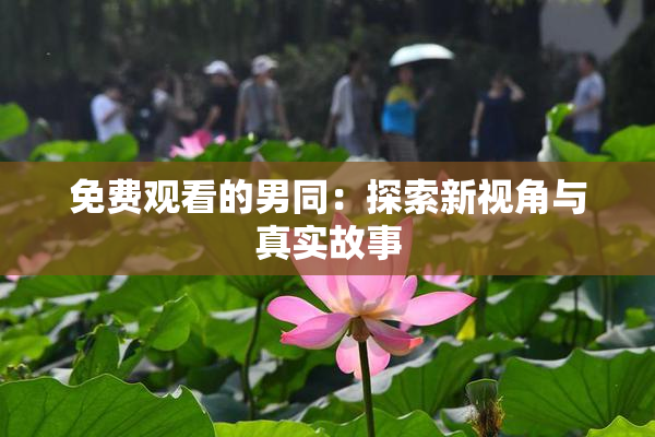免费观看的男同：探索新视角与真实故事