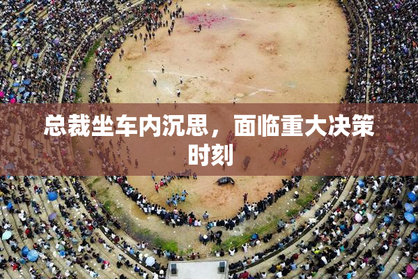 总裁坐车内沉思，面临重大决策时刻