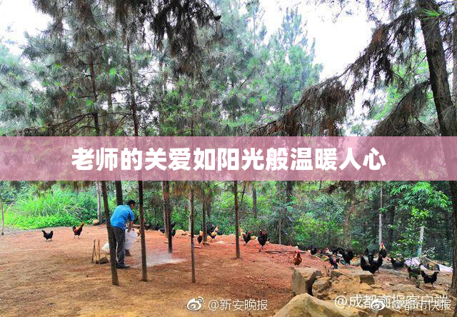 老师的关爱如阳光般温暖人心