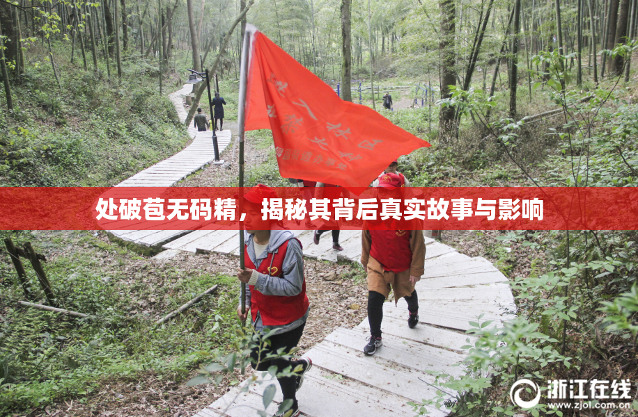 处破苞无码精，揭秘其背后真实故事与影响