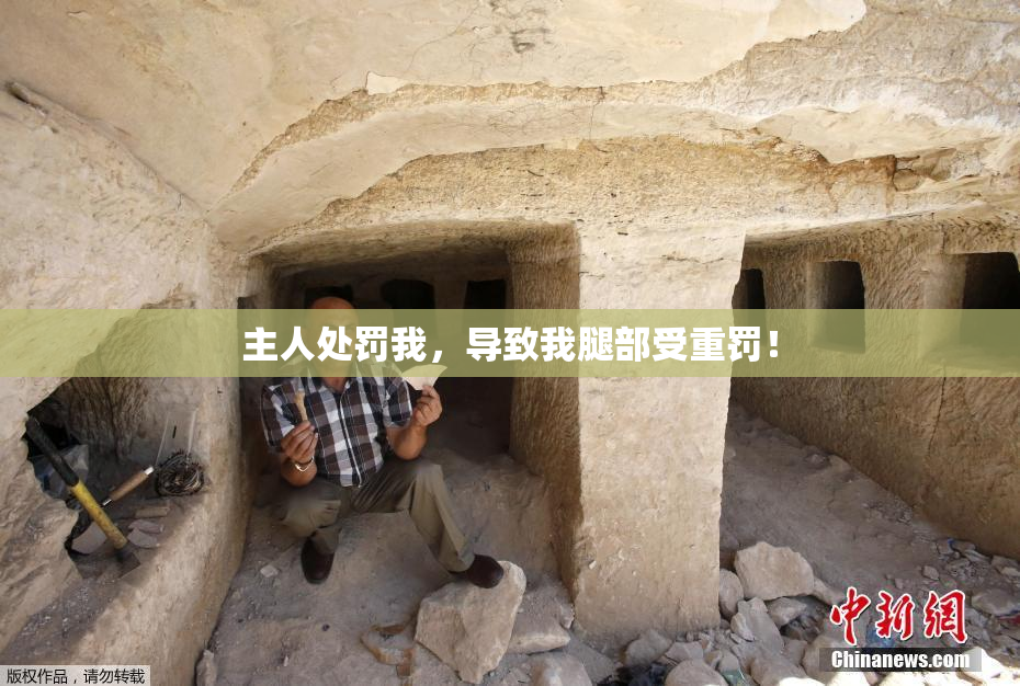 主人处罚我，导致我腿部受重罚！