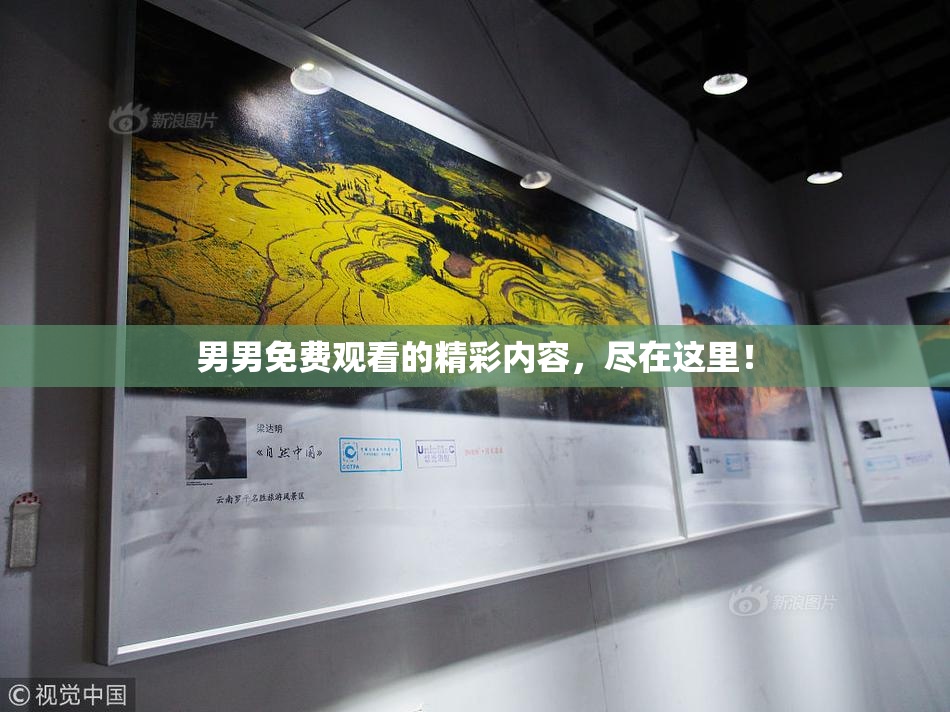 男男免费观看的精彩内容，尽在这里！