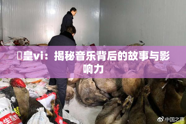 嘼皇vi：揭秘音乐背后的故事与影响力