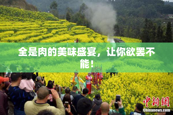 全是肉的美味盛宴，让你欲罢不能！