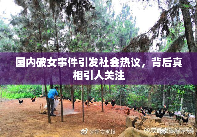 国内破女事件引发社会热议，背后真相引人关注