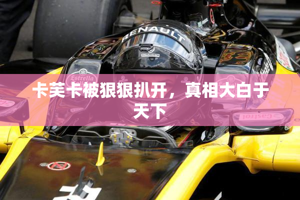 卡芙卡被狠狠扒开，真相大白于天下