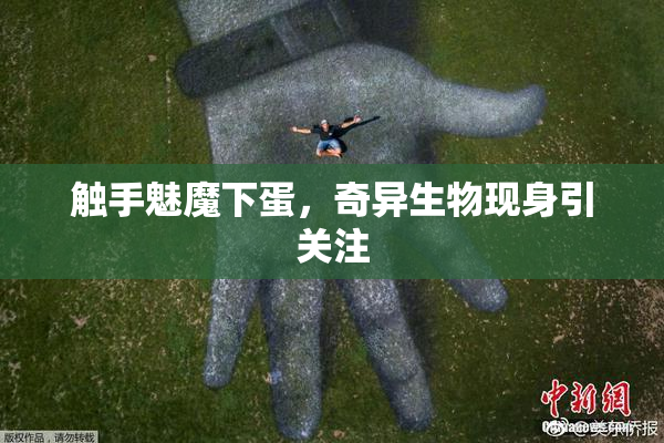 触手魅魔下蛋，奇异生物现身引关注