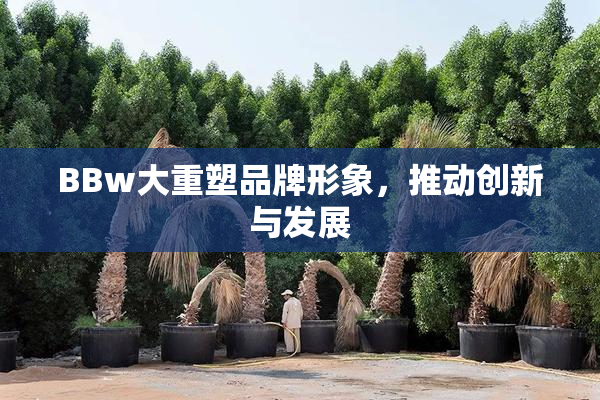 BBw大重塑品牌形象，推动创新与发展
