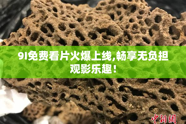 9I免费看片火爆上线,畅享无负担观影乐趣！