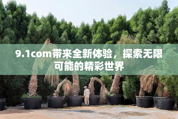 9.1com带来全新体验，探索无限可能的精彩世界