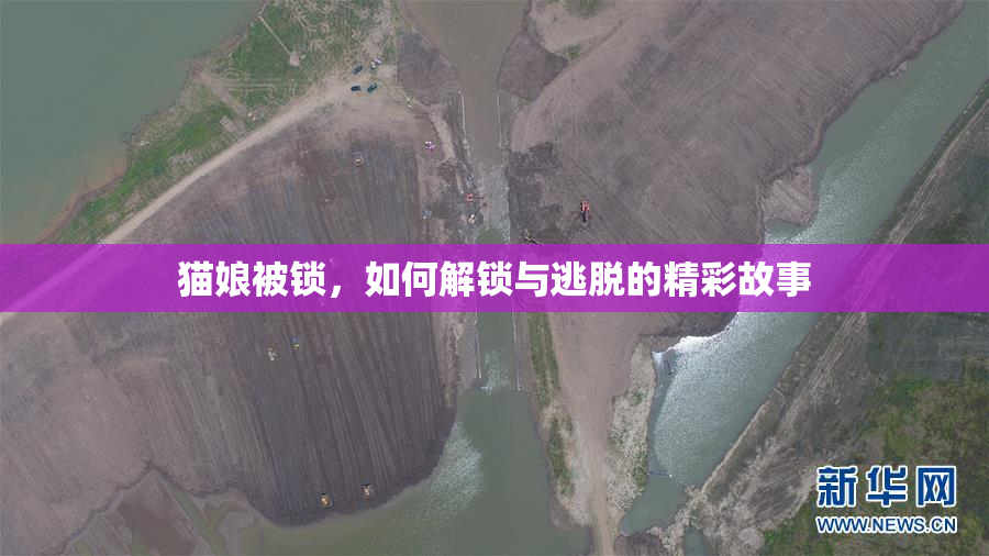 猫娘被锁，如何解锁与逃脱的精彩故事