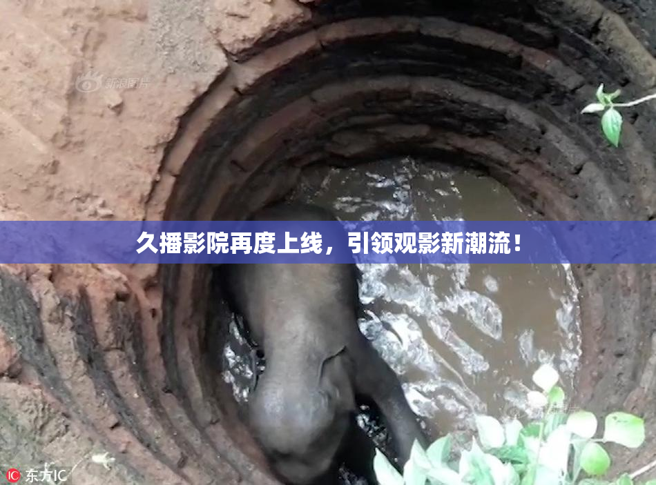 久播影院再度上线，引领观影新潮流！
