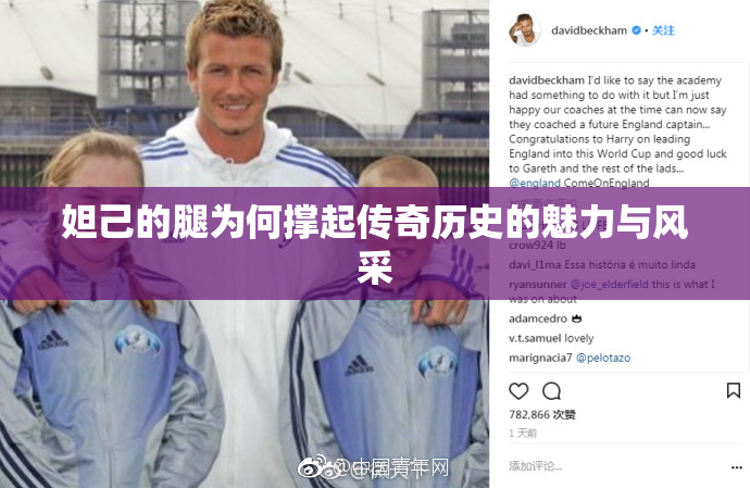 妲己的腿为何撑起传奇历史的魅力与风采