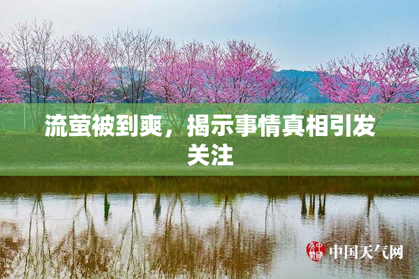 流萤被到爽，揭示事情真相引发关注