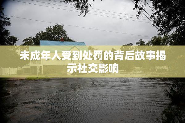 未成年人受到处罚的背后故事揭示社交影响
