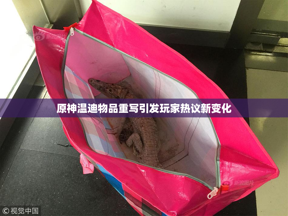 原神温迪物品重写引发玩家热议新变化
