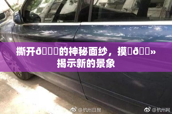 撕开👙的神秘面纱，摸‌🐻揭示新的景象