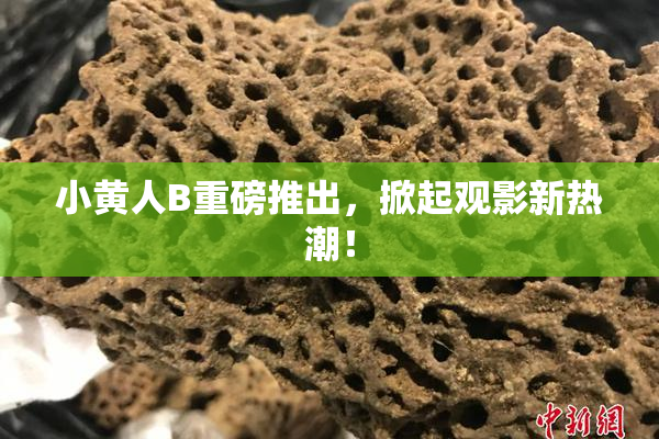 小黄人B重磅推出，掀起观影新热潮！