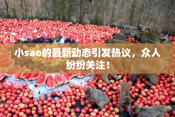 小sao的最新动态引发热议，众人纷纷关注！