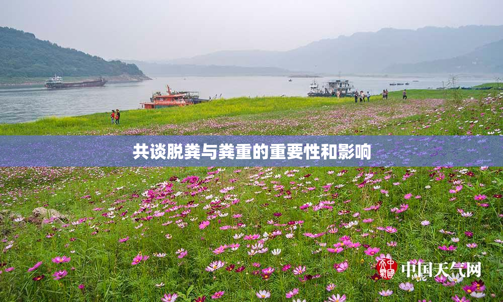 共谈脱粪与粪重的重要性和影响