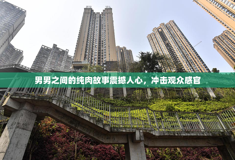 男男之间的纯肉故事震撼人心，冲击观众感官