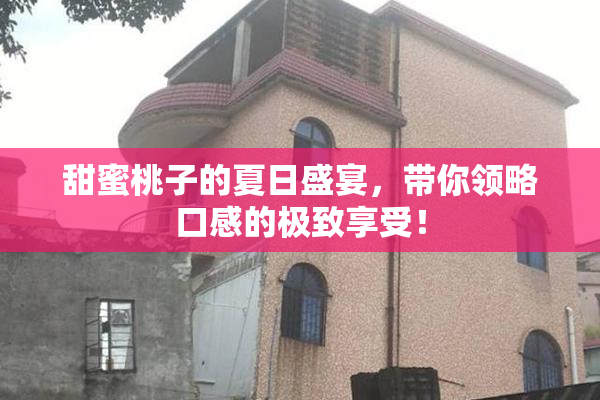 甜蜜桃子的夏日盛宴，带你领略口感的极致享受！