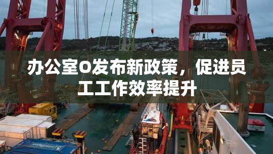 办公室O发布新政策，促进员工工作效率提升