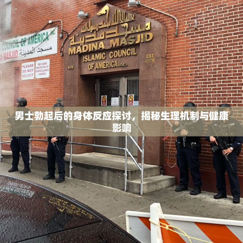 男士勃起后的身体反应探讨，揭秘生理机制与健康影响