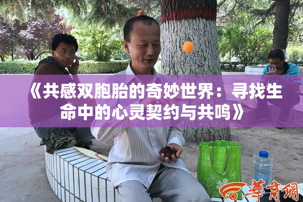 《共感双胞胎的奇妙世界：寻找生命中的心灵契约与共鸣》