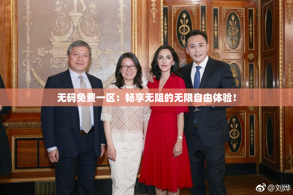 无码免费一区：畅享无阻的无限自由体验！
