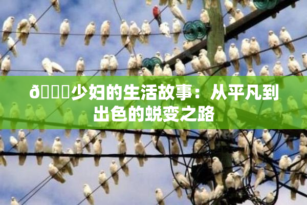 🔞少妇的生活故事：从平凡到出色的蜕变之路