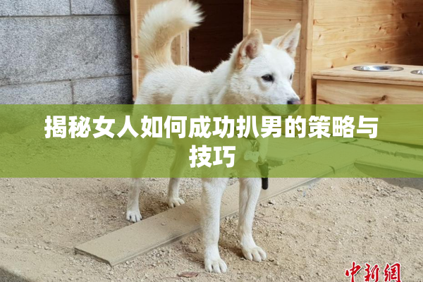 揭秘女人如何成功扒男的策略与技巧